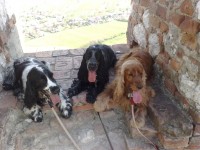 /album/fotogalerie/fota-mobil-7-6-2009-025-jpg1/